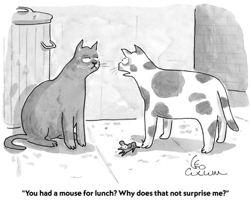 "You had a mouse for lunch? Why does that not surprise me?"