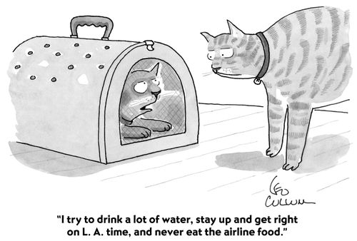 "I try to drink a lot of water, stay up and get right on L.A. time, and never eat the airline food."