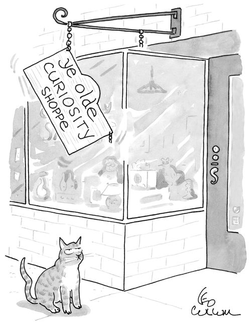 Ye Olde Curiosity Shoppe
