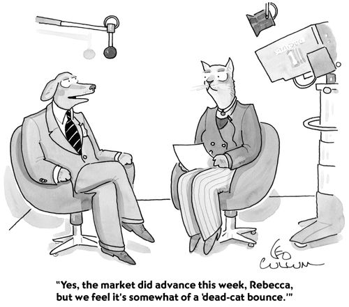 "Yes, the market did advance this week, Rebecca, but we feel it's somewhat of a 'dead-cat bounce.'"
