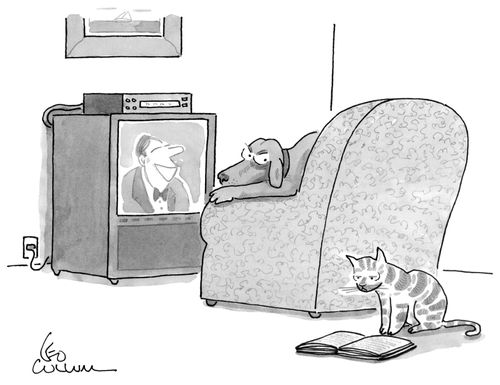 Pet Hobbies