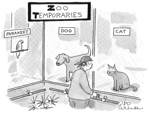 Zoo Temporaries