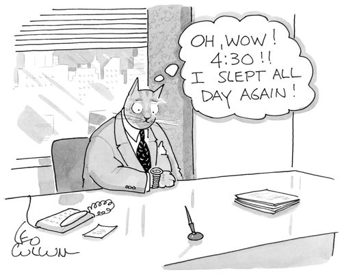 "Oh, wow! 4:30!! I slept all day again!"