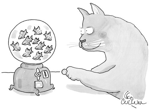 A cat puts money into a gumball machine full of goldfish.
