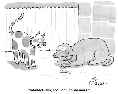 "Intellectually, I couldn't agree more."