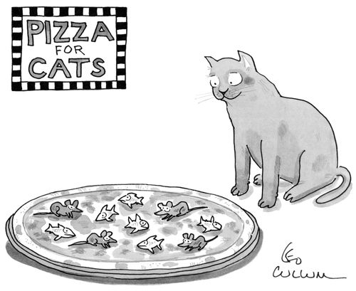 PIZZA FOR CATS