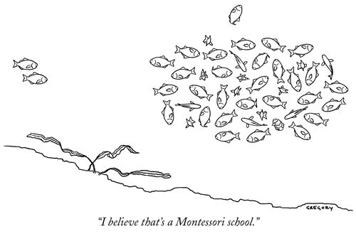 "I believe that's a Montessori school."