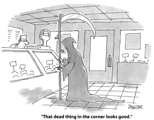 "That dead thing in the corner looks good."