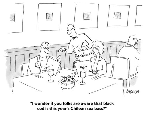 "I wonder if you folks are aware that black cod is this year's Chilean sea bass?"