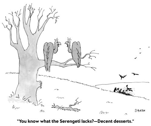 "You know what the Serengeti lacks?—Decent deserts."