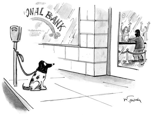 A dog in a balaclava waits outside a bank