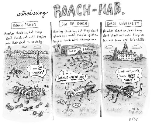 Introducing Roach-Hab.