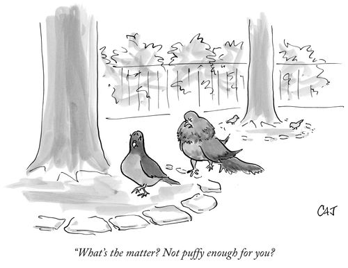 "What's the matter? Not puffy enough for you?"