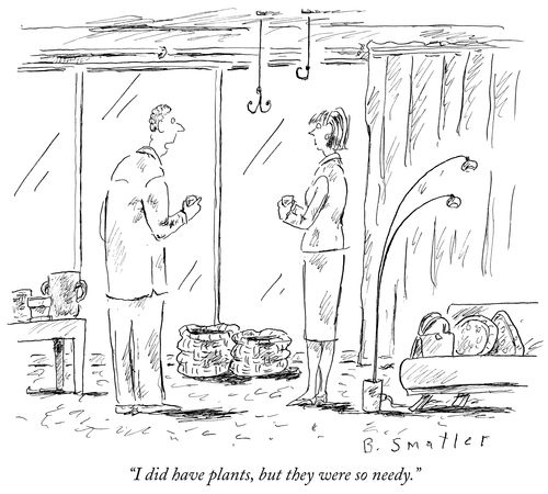 "I did have plants, but they were so needy."