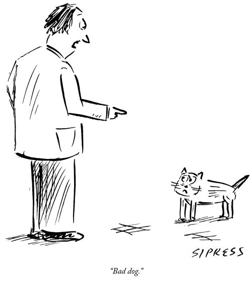 "Bad dog."