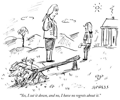 "Yes, I cut it down, and no, I have not regrets about it."