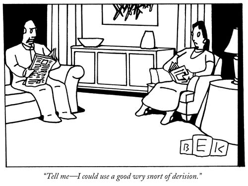 "Tell me- I could use a good wry snort of derision."