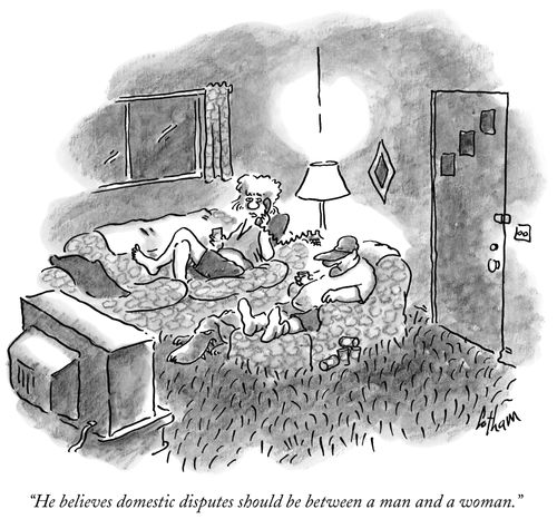 "He believes domestic disputes should be between a man and a woman."