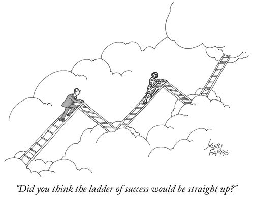"Did you think the ladder of success would be straight up?"