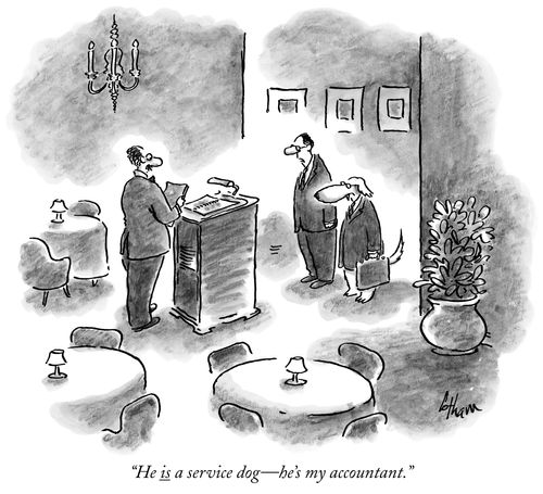 "He is a service dog – he's my accountant."