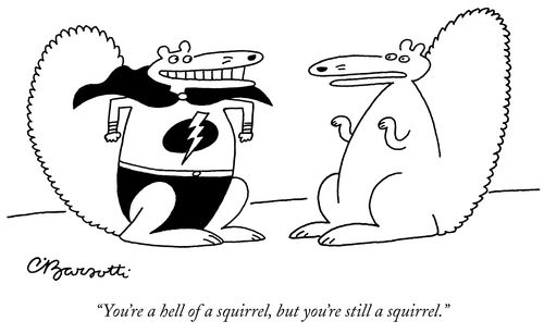 You're a Hell of a Squirrel but You're Still a Squirrel