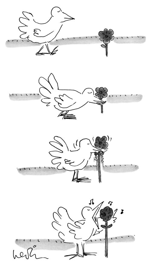 A bird pulls a flower out of the ground and sings into it as though it is a microphone.