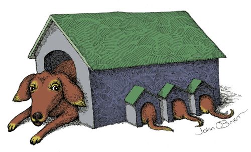 Puppy Doghouse