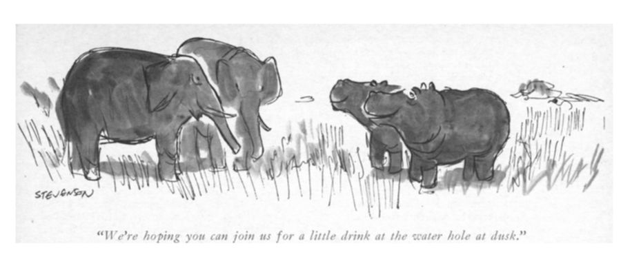 "We're hoping you can join us for a little drink at the water hole at dusk."