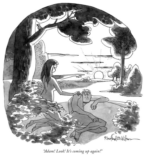 "Adam! Look! it's coming up again!"