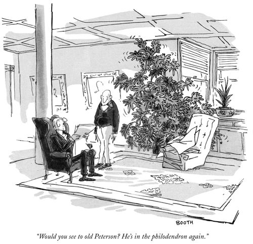 "Would you see to old Peterson? He's in the philodendron again."