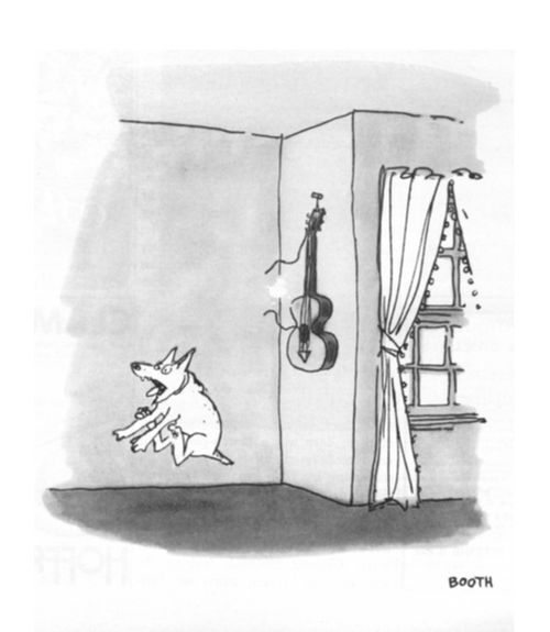 A dog in a room jumps in fright from the sound of a guitar string suddenly breaking.