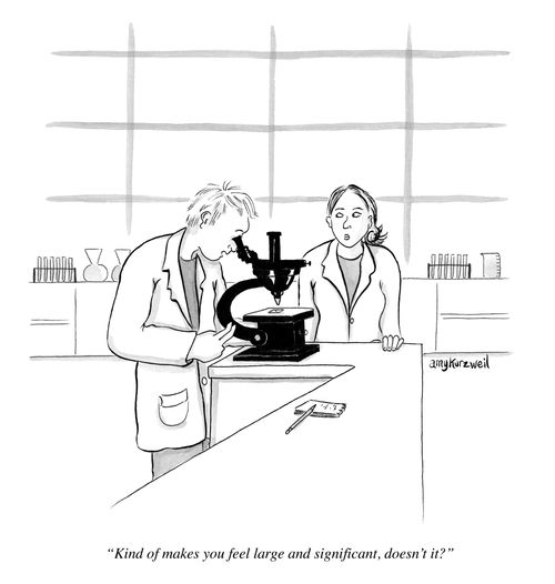 "Kind of makes your feel large and significant, doesn't it?"