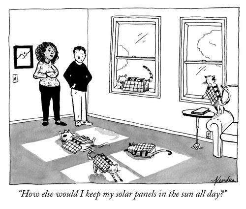 "How else would I keep my solar panels in the sun all day?"
