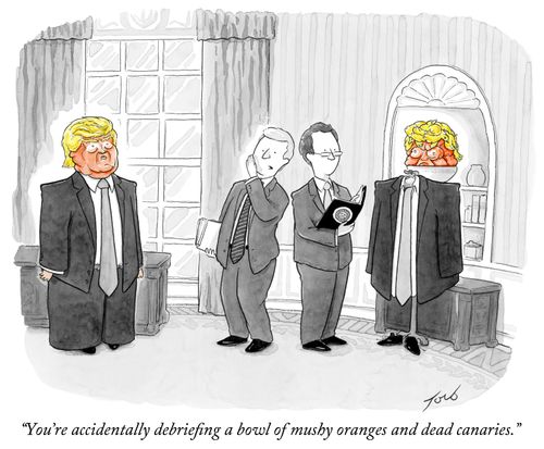 "You're accidentally debriefing a bowl of mushy oranges and dead canaries."