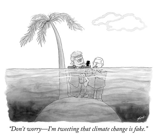 "Don't worry -- I'm tweeting that climate change is fake."