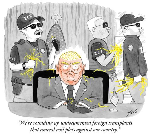 "We're rounding up undocumented foreign transplants that conceal evil plots against our country."