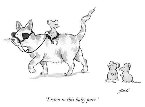 "Listen to this baby purr."