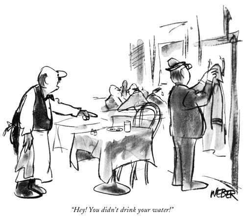 "Hey! You didn't drink your water!"