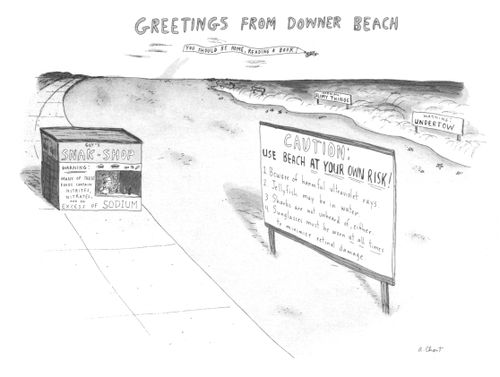 Greetings From Downer Beach.