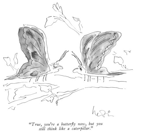 "True, you're a butterfly now, but you still think like a caterpillar."