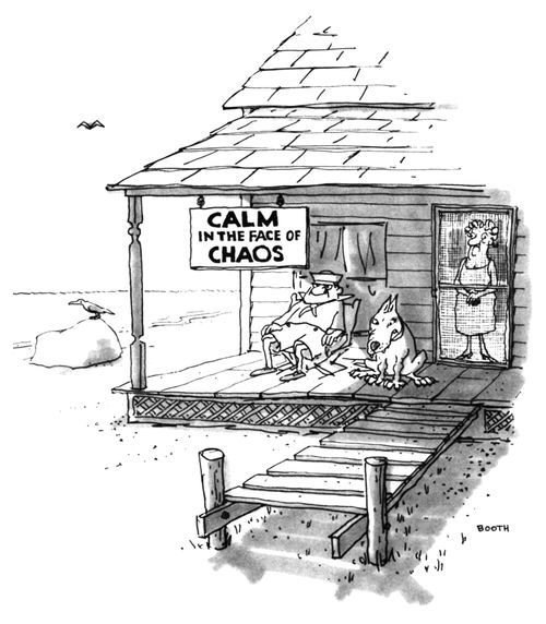 Calm in the Face of Chaos
