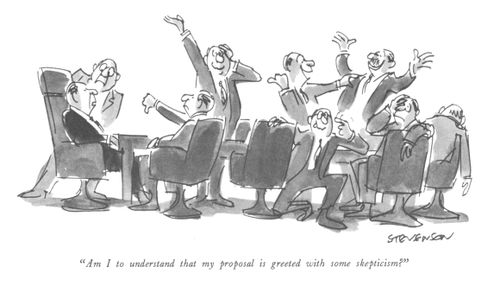 "Am I to understand that my proposal is greeted with some skepticism?"