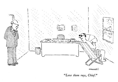 "Love them rays, Chief."