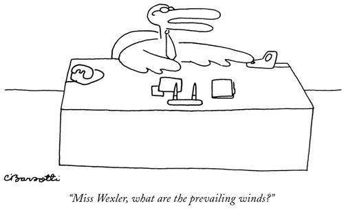 "What are the prevailing winds?"