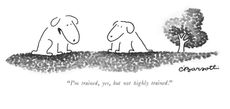 "I'm trained, yes, but not highly trained."
