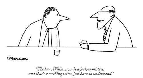 "The law is a jealous mistress, something wives just have to understand."