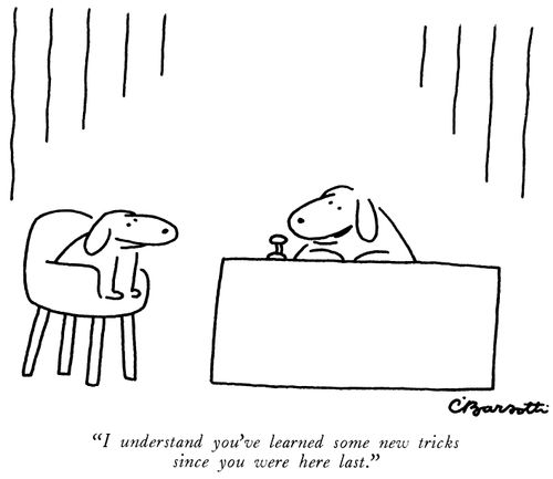 "I understand you've learned some new tricks since you were here last."