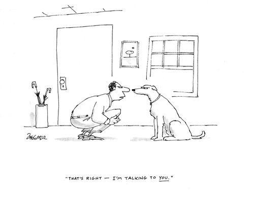 "That's right - I'm talking to you."