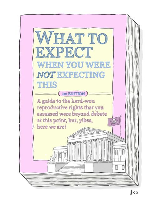 What To Expect When You Were Not Expecting This