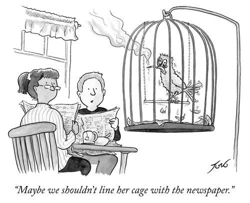 "Maybe we shouldn't line her cage with newspaper."
